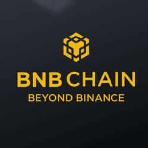 how to stake on binance|A Quick Guide to BNB Staking on BNB Smart Chain .